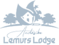https://www.mediaclick.mg/wp-content/uploads/2025/01/lemur.png